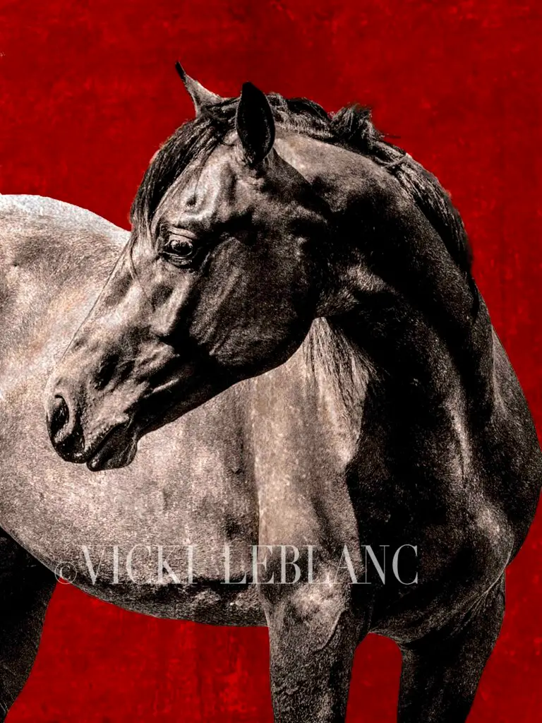 Horse (red)
