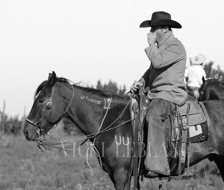 Mustang Cowboy