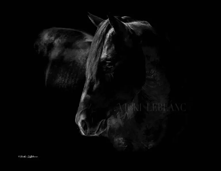Stallion Pose